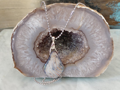 Iridescent Abalone Shell