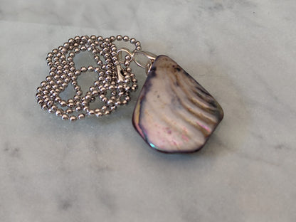 Iridescent Abalone Shell