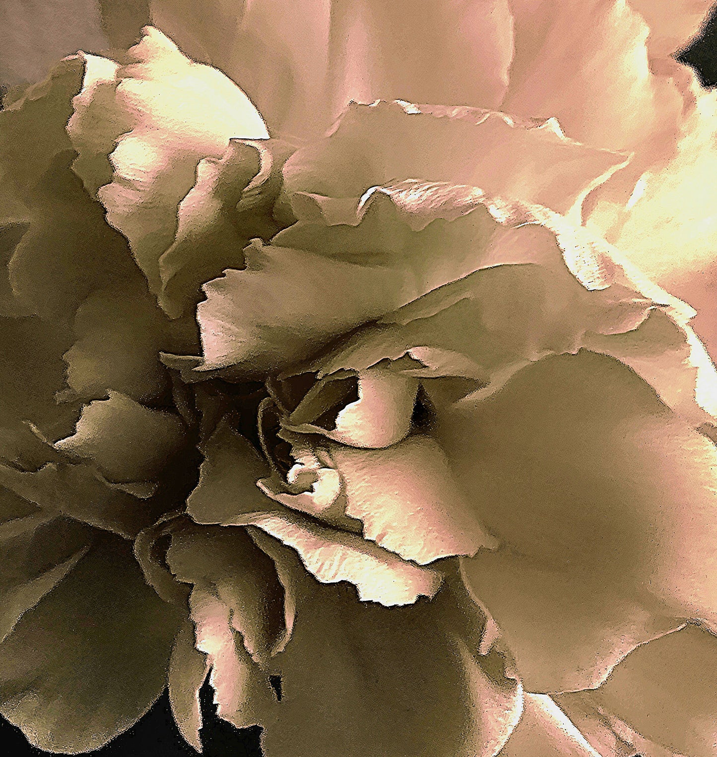 Ethereal Fold - Premium Stretched Canvas