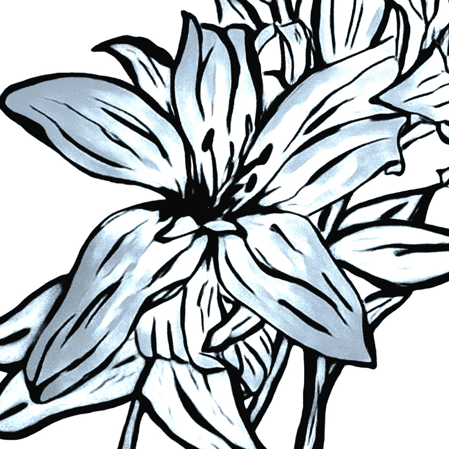 The Silver-Cast Lily | Digital Download