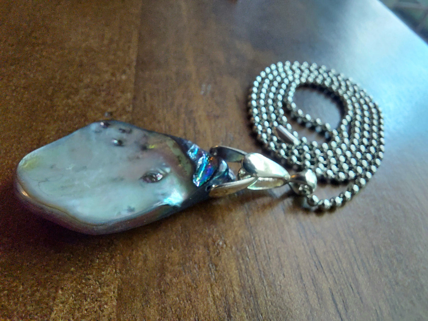 Iridescent Abalone Shell