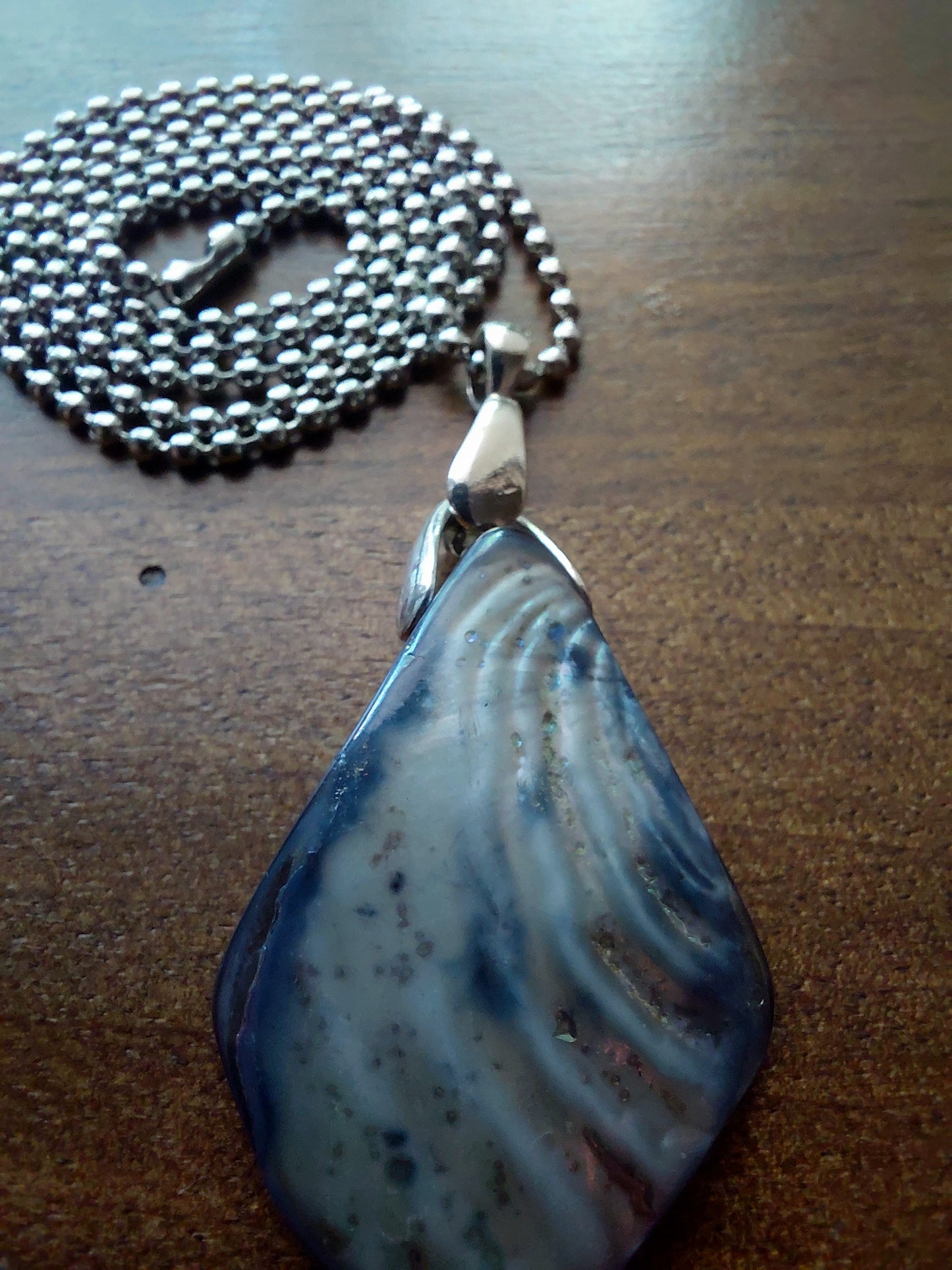 Iridescent Abalone Shell