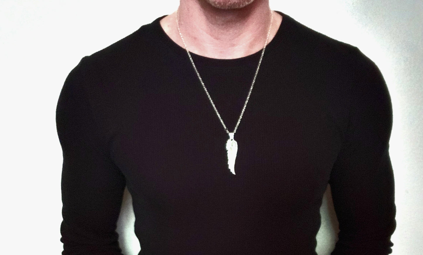 Wings of Order (Silver Feather)
